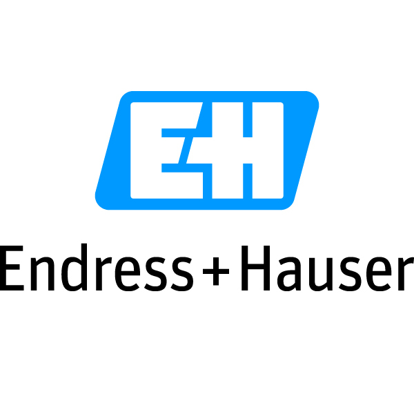 Endress + Hauser Logo Thumbnail